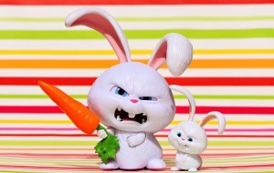 Le lapin et la carotte