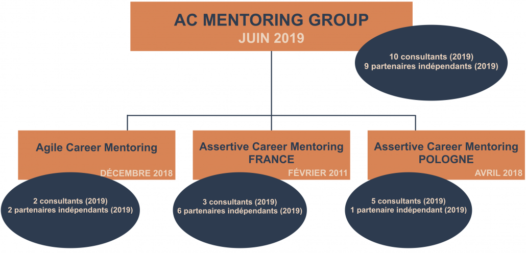 organisation du groupe AC Mentoring